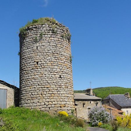 Gite Les Ducs Mialanes Exterior foto